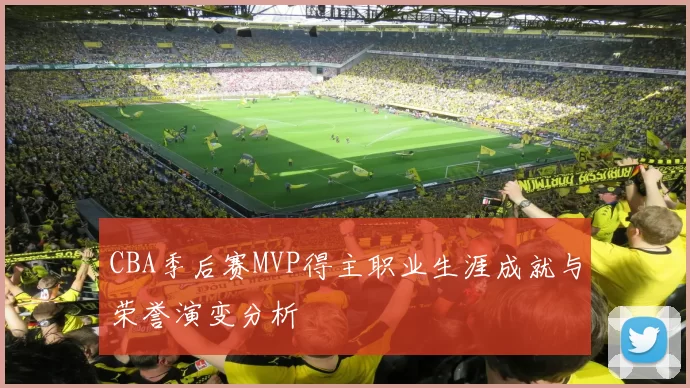 CBA季后赛MVP得主职业生涯成就与荣誉演变分析