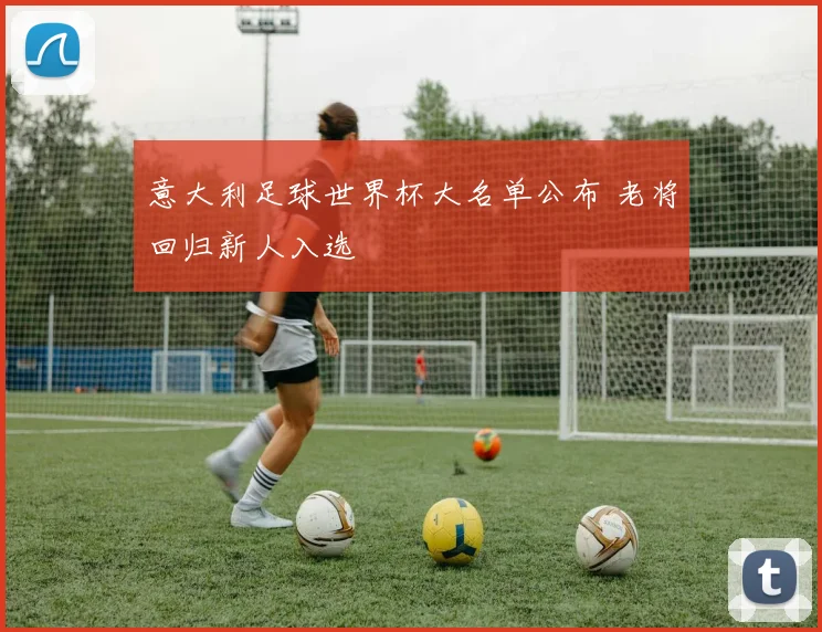意大利足球世界杯大名单公布 老将回归新人入选
