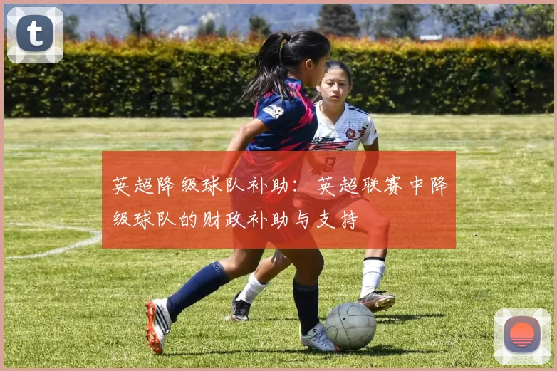 英超降级球队补助：英超联赛中降级球队的财政补助与支持