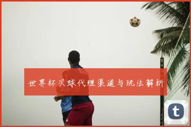 世界杯买球代理渠道与玩法解析