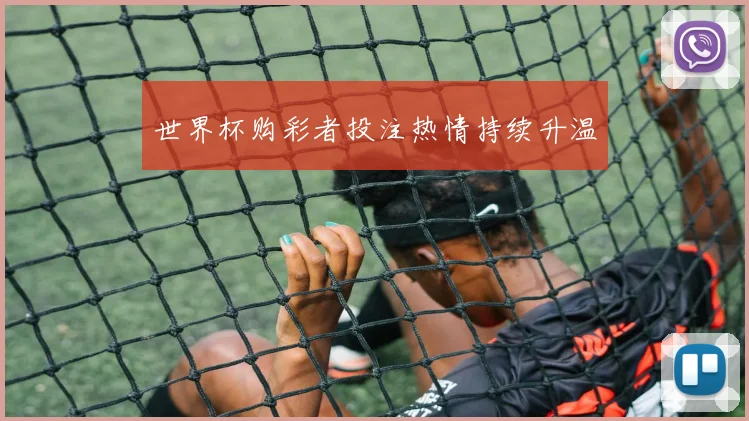 世界杯购彩者投注热情持续升温