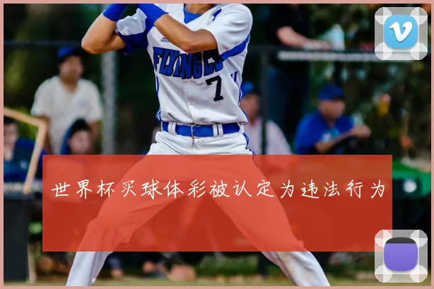 世界杯买球体彩被认定为违法行为