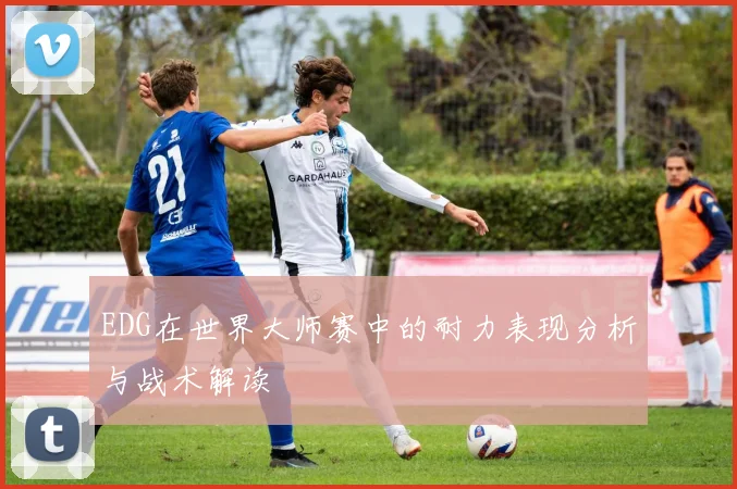 EDG在世界大师赛中的耐力表现分析与战术解读