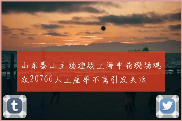 山东泰山主场迎战上海申花现场观众20766人上座率不高引发关注