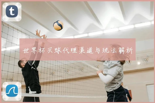世界杯买球代理渠道与玩法解析