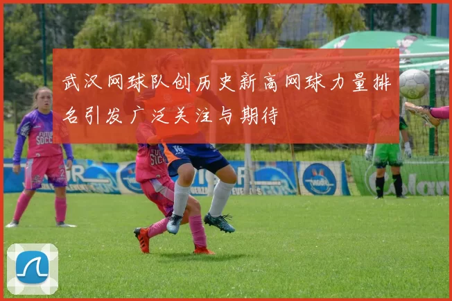 武汉网球队创历史新高网球力量排名引发广泛关注与期待